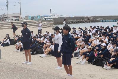 入島式