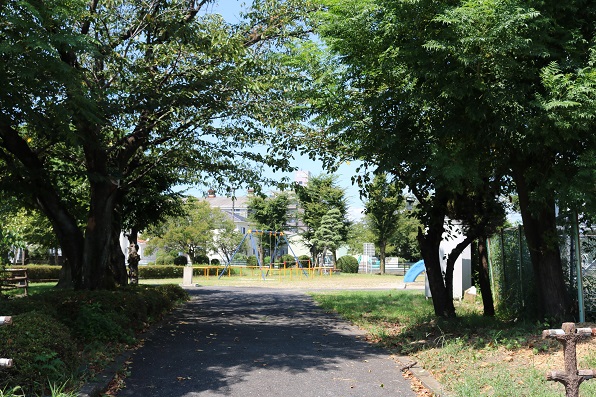 東口に並ぶヤマザクラの木 東口に並ぶヤマザクラの木