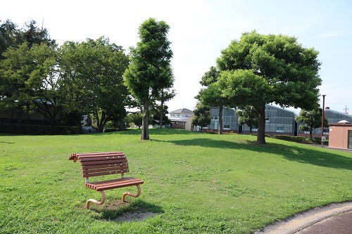 ベンチ ベンチ