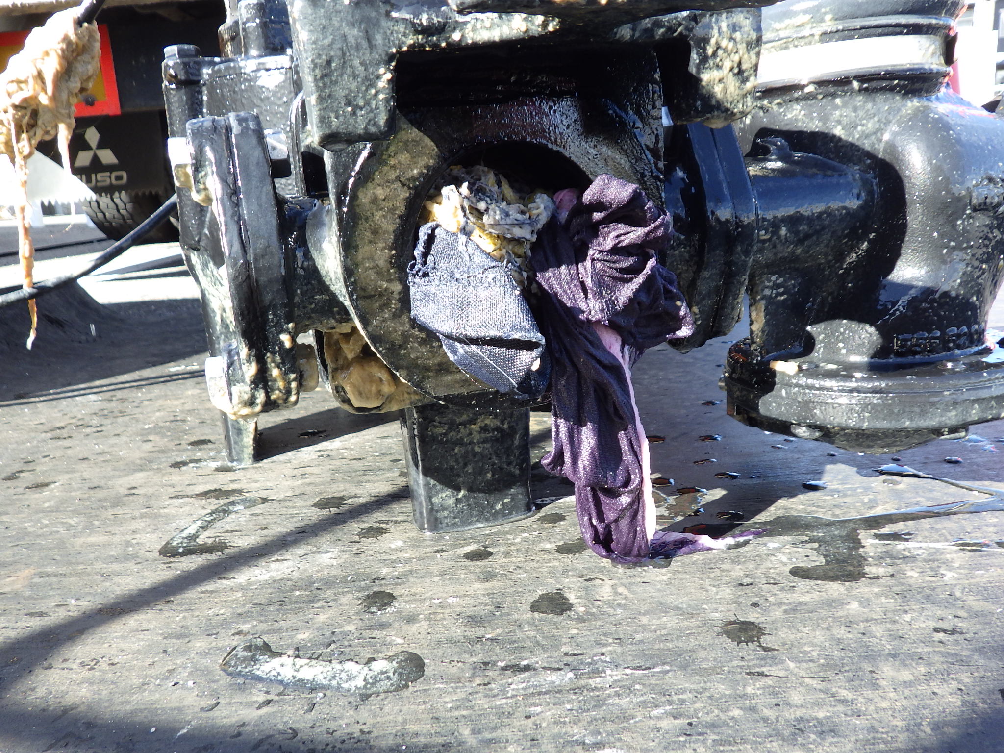 ポンプに絡まった異物2